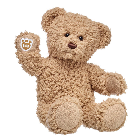 Los Angeles Chargers Timeless Teddy Bear Football Gift Set - US 6901