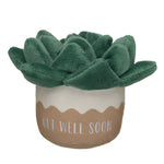 HB GET WELL PLANT - US 3251