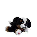 Build-A-Bear Mini Beans Promise Pets Bernese | BAB - US 5205
