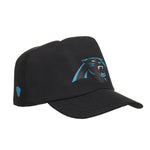 Carolina Panthers Fan Hat for Stuffed Animals - US 8117