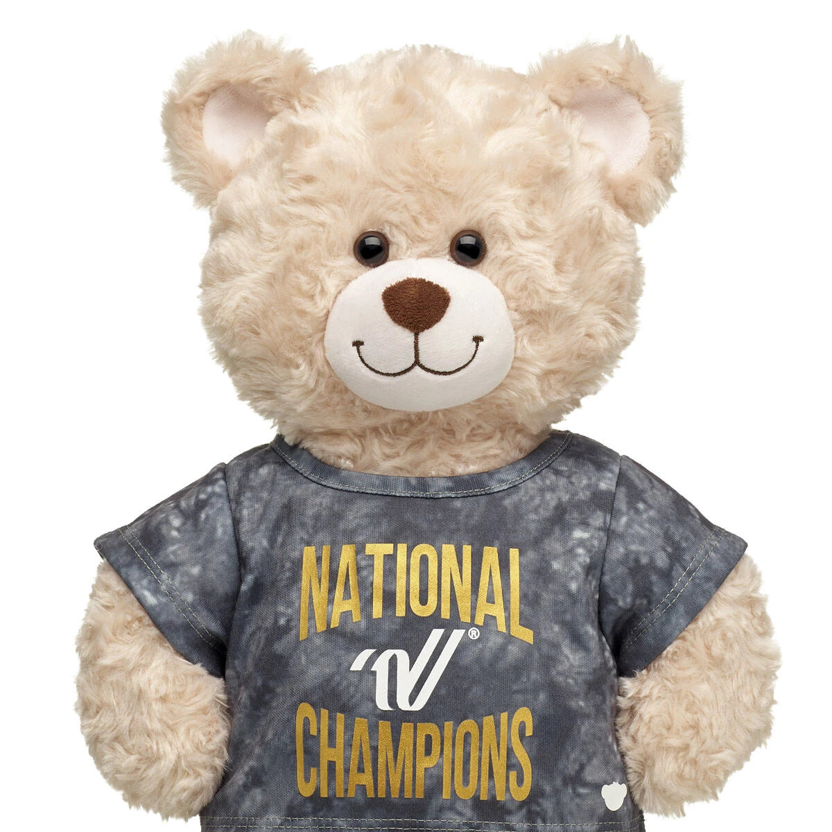 Varsity Spirit National Champions T-Shirt | Build-A-Bear® - US 4538